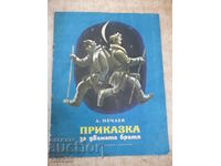 Book "Tale of the two brothers - A. Nechaev" - 20 pages.