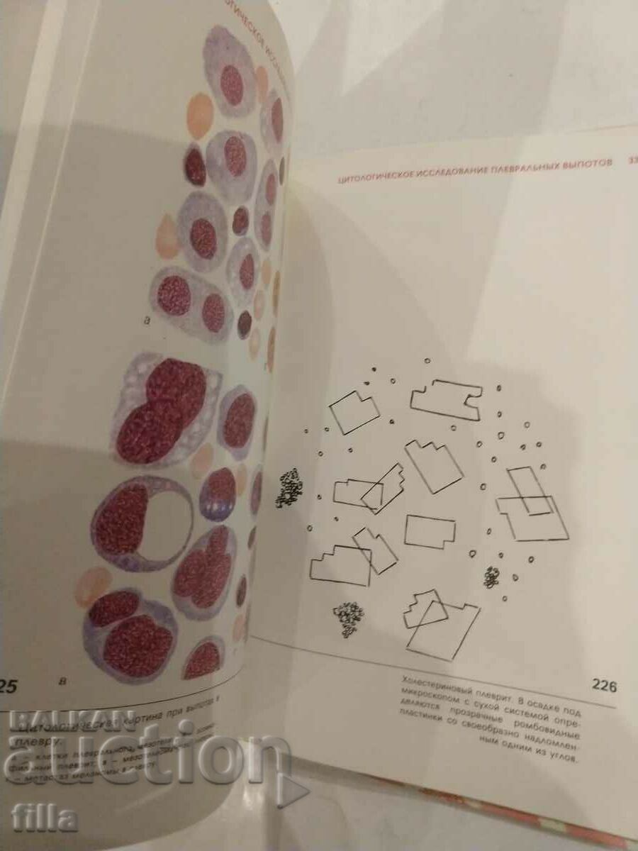 Medicine, Hematological Atlas - 6 Medicine, Hematological Atlas - 6