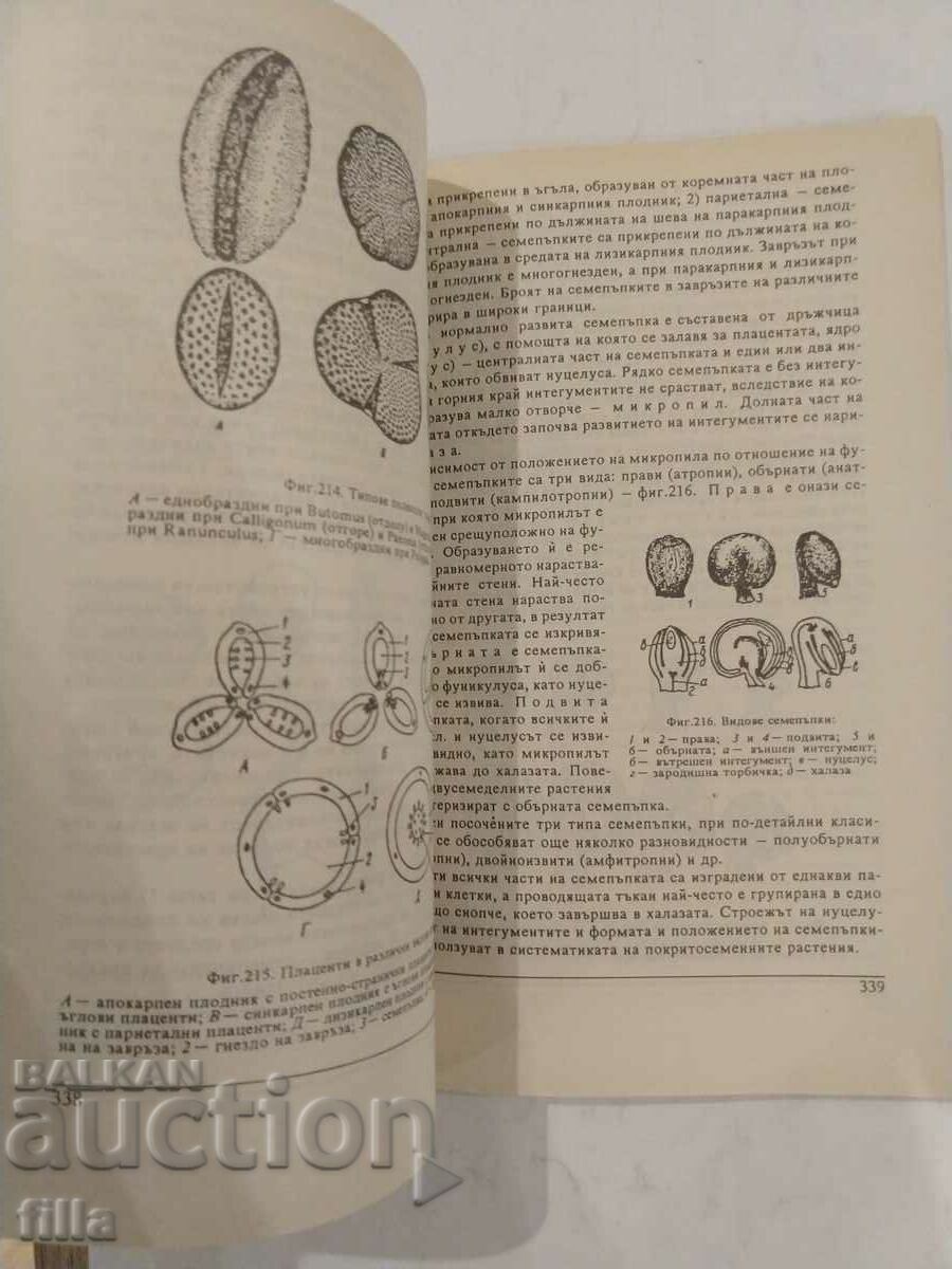 Delivery of Botany Delivery of Botany