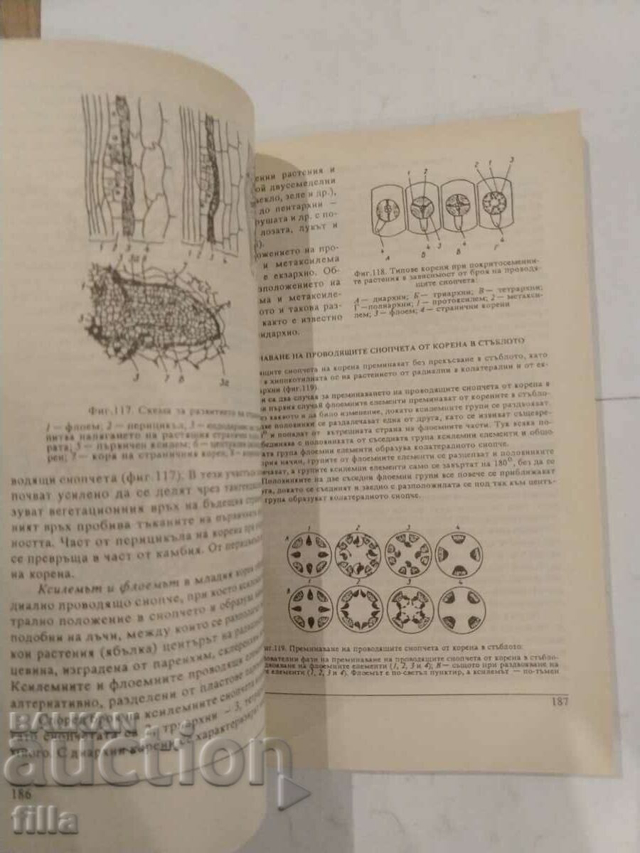 Botany - 5 Botany - 5