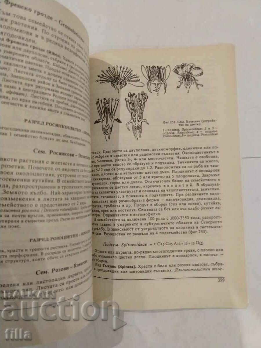 Botany - 6 Botany - 6