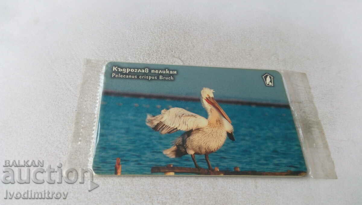 Фонокарта MOBIKA Къдроглав пеликан 60 импулса