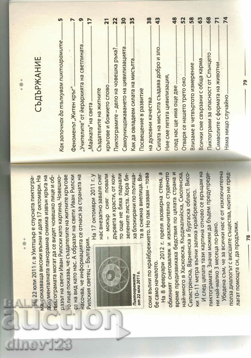 Auction  THE CROP CIRCLES ARE SPEAKING - MARIANA VEZNEVA