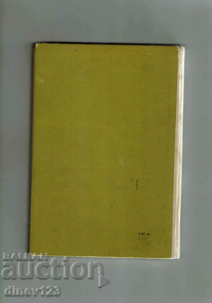 STONE PILLAR RANCH - ALEXANDER GREEN with price 8.00 BGN | € 4.09 STONE PILLAR RANCH - ALEXANDER GREEN with price 8.00 BGN | € 4.09