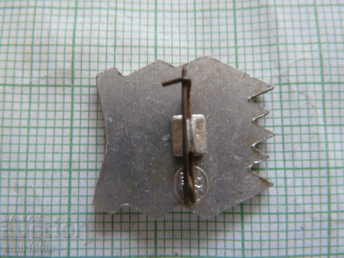 Delivery of Badge-OSBD Society of the Soviet Bulgarian Friendship Komi branch Delivery of Badge-OSBD Society of the Soviet Bulgarian Friendship Komi branch