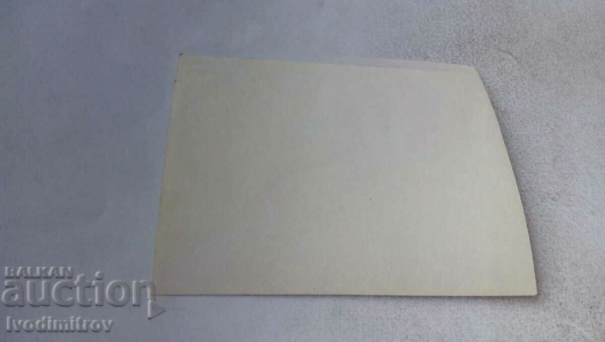 Fotografie Tânără într-o haină de blană cu preț 1.45 BGN | € 0.74 Fotografie Tânără într-o haină de blană cu preț 1.45 BGN | € 0.74