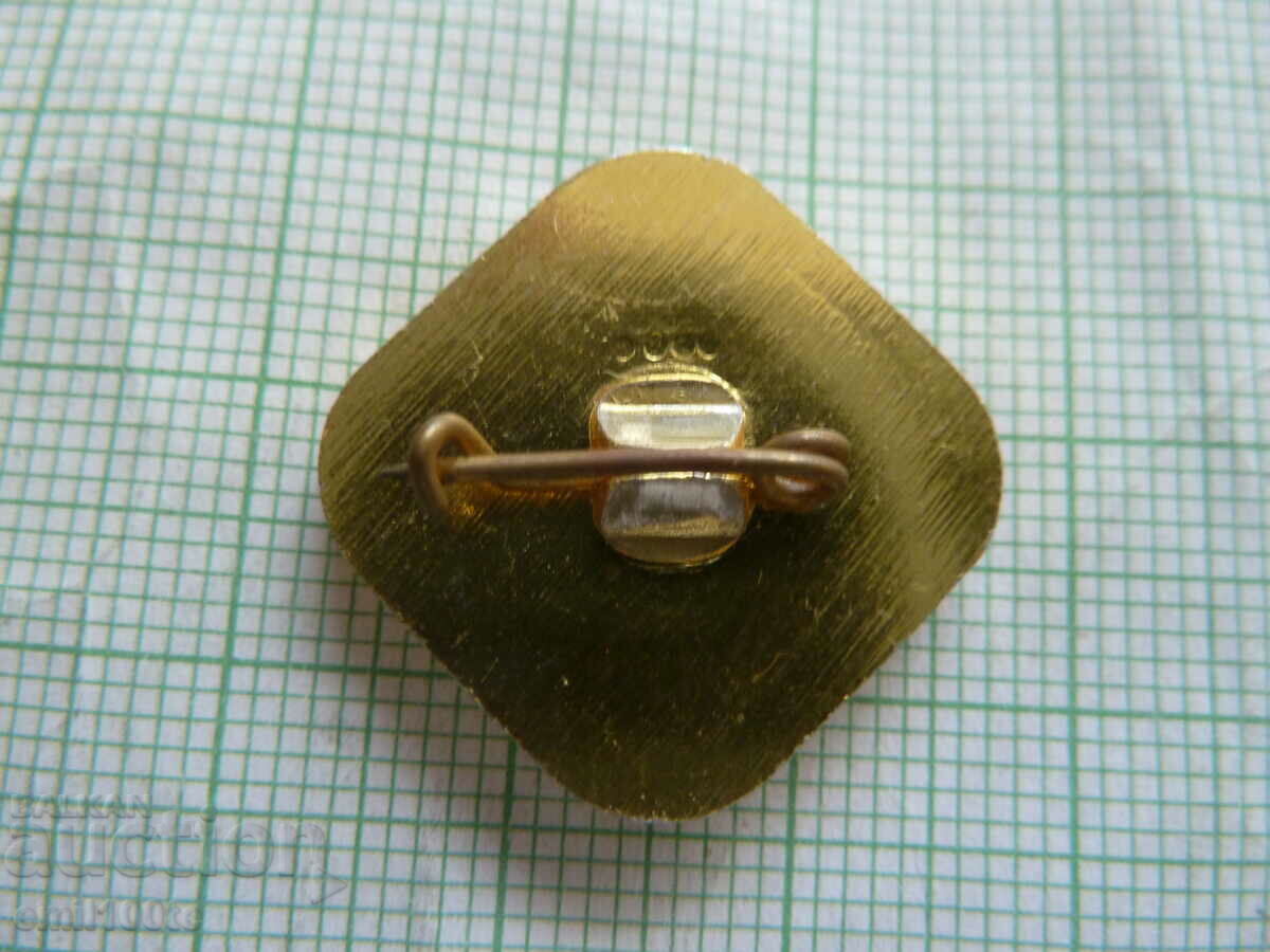 Delivery of Badge - 50 years. NRB Trade and Industrial Exhibition Moscow 84 Delivery of Badge - 50 years. NRB Trade and Industrial Exhibition Moscow 84