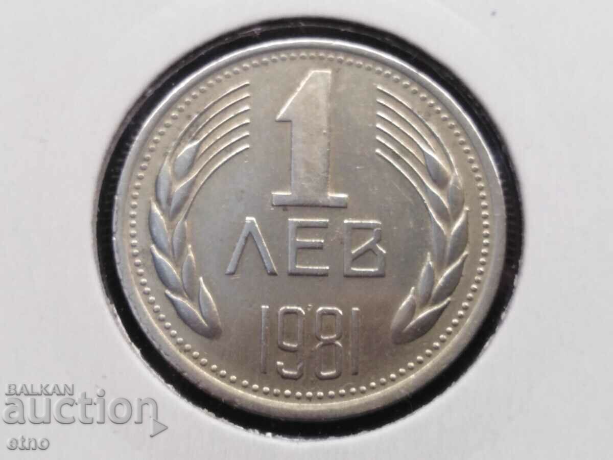 1 лев 1981година, монета, монети