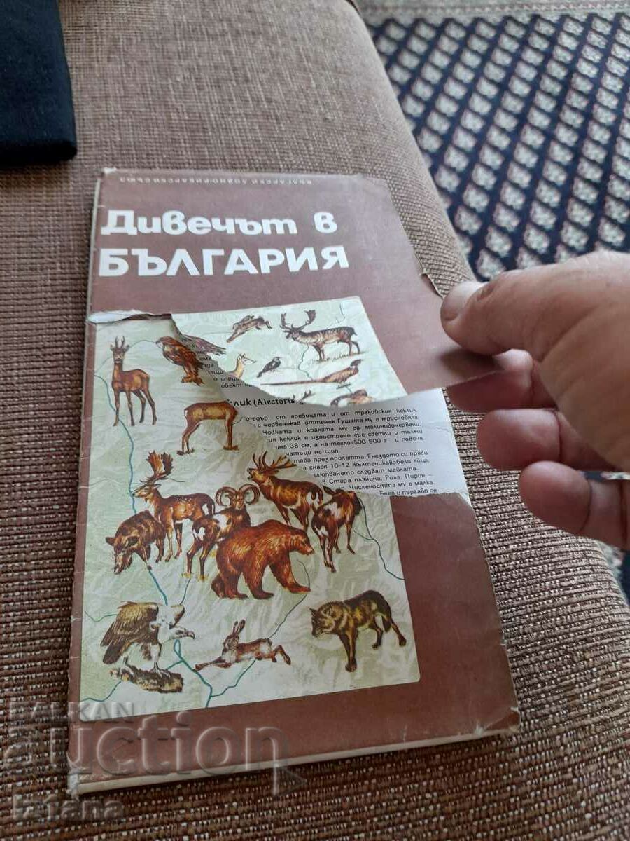 Παλιό παιχνίδι χάρτη στη Βουλγαρία με τιμή 9.00 BGN | € 4.60 Παλιό παιχνίδι χάρτη στη Βουλγαρία με τιμή 9.00 BGN | € 4.60