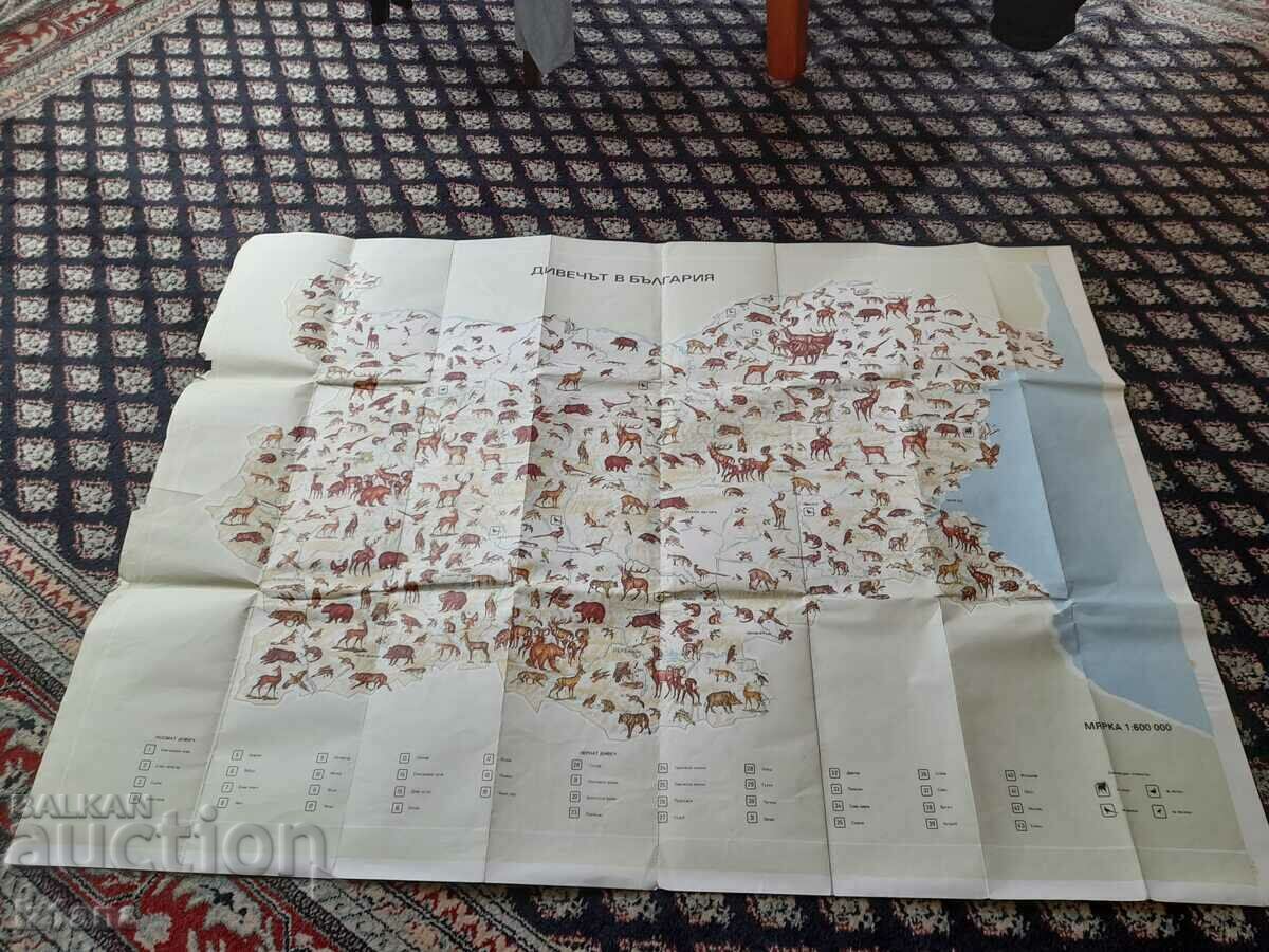 Δημοπρασία Παλιό παιχνίδι χάρτη στη Βουλγαρία Δημοπρασία Παλιό παιχνίδι χάρτη στη Βουλγαρία