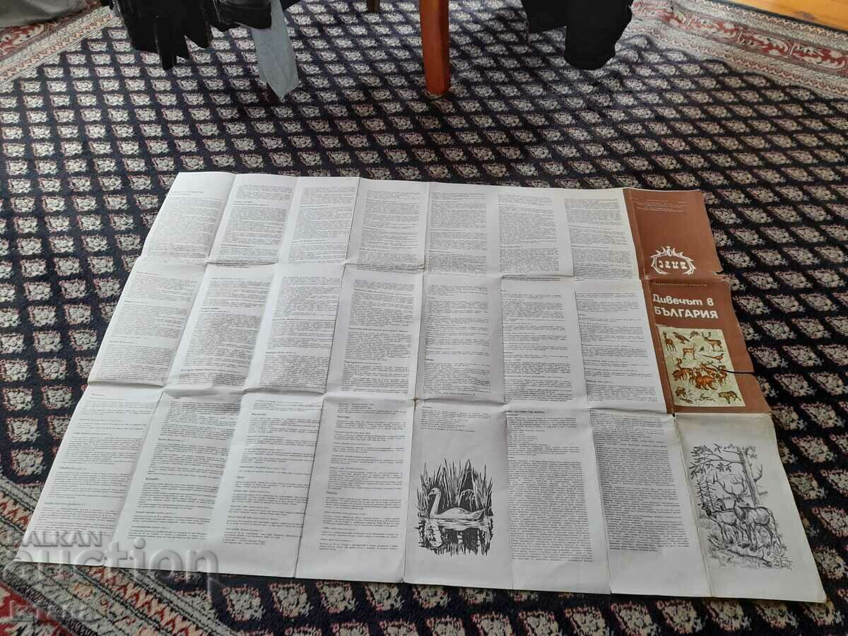 Παράδοση Παλιό παιχνίδι χάρτη στη Βουλγαρία Παράδοση Παλιό παιχνίδι χάρτη στη Βουλγαρία