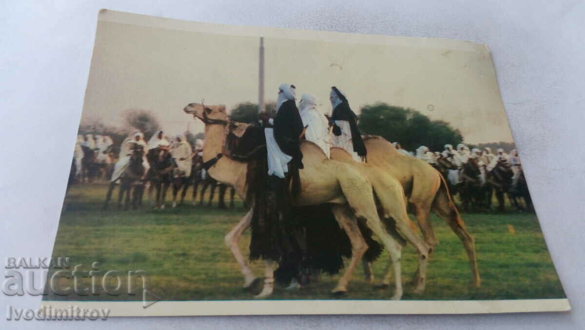 Пощенска картичка Надбягване с камили 1988