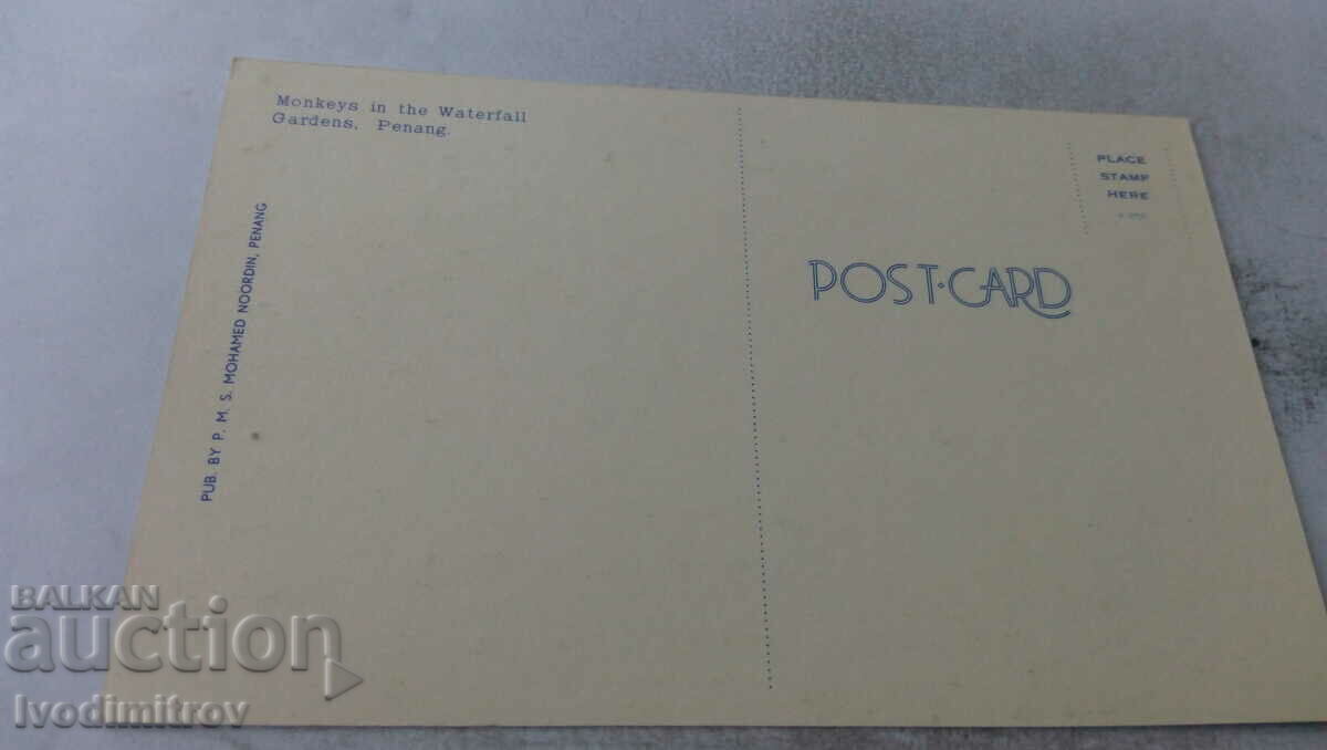 Penang Monkeys in the Waterfall Gardens postcard with price 0.85 BGN | € 0.43 Penang Monkeys in the Waterfall Gardens postcard with price 0.85 BGN | € 0.43