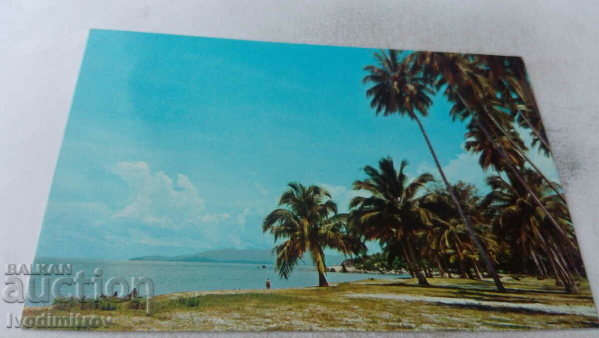 Καρτ ποστάλ Penang Sia-side Tanjong Bungah
