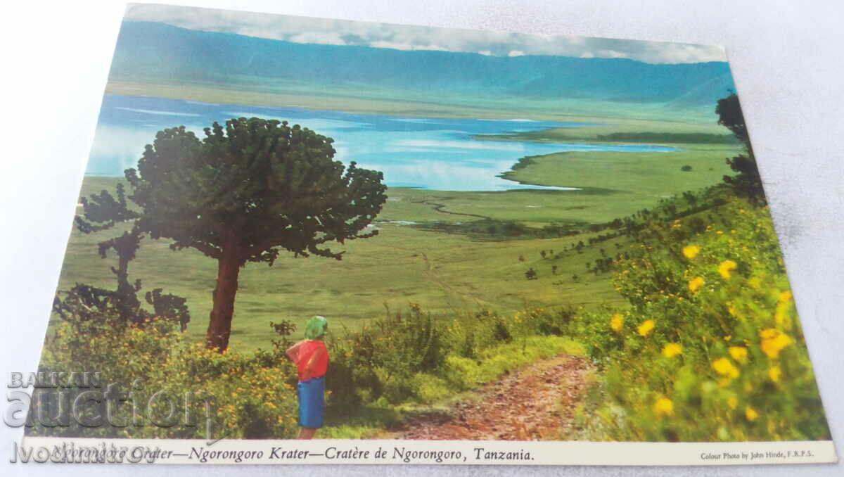 Postcard Ngorongoro Crater, Tanzania