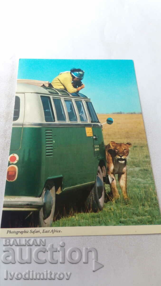 Пощенска картичка Photographic Safari, East Africa