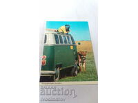 Καρτ ποστάλ φωτογραφικό σαφάρι, Ανατολική Αφρική