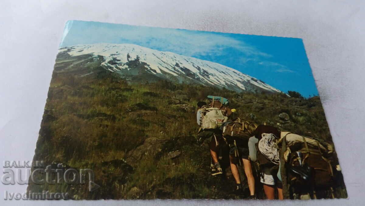 Postcard Mt. Kilimanjaro