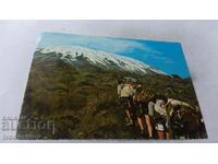 Postcard Mt. Kilimanjaro