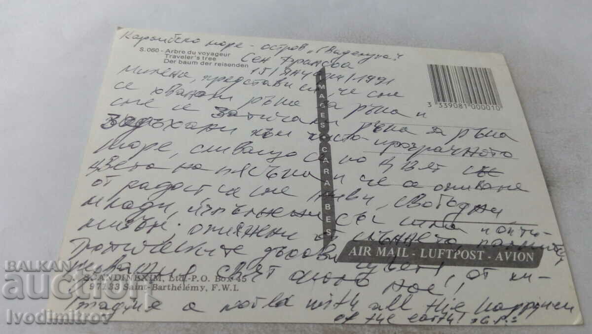 Traveler's Tree Postcard with price 0.85 BGN | € 0.43