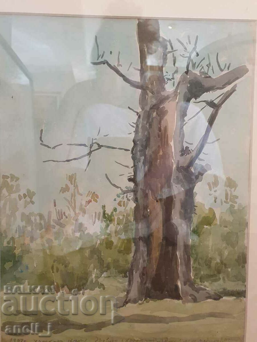 Acuarelă de Stanyo Stamatov cu preț 750.00 BGN | € 383.47 Acuarelă de Stanyo Stamatov cu preț 750.00 BGN | € 383.47