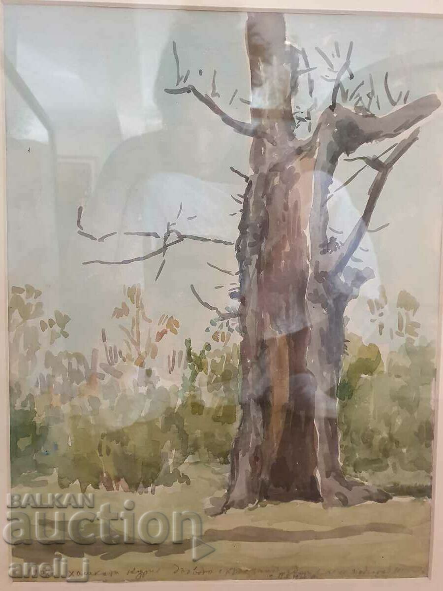 Licitație Acuarelă de Stanyo Stamatov Licitație Acuarelă de Stanyo Stamatov