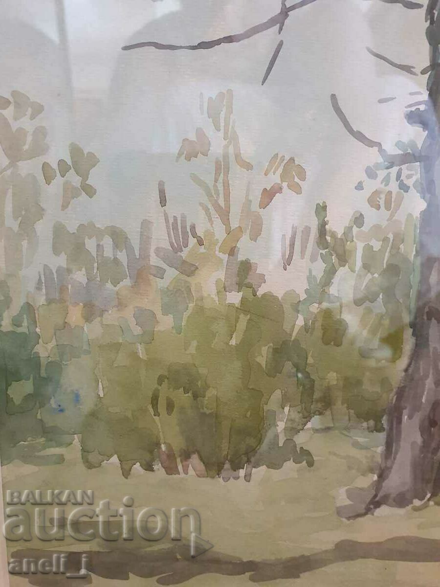 Livrarea Acuarelă de Stanyo Stamatov Livrarea Acuarelă de Stanyo Stamatov