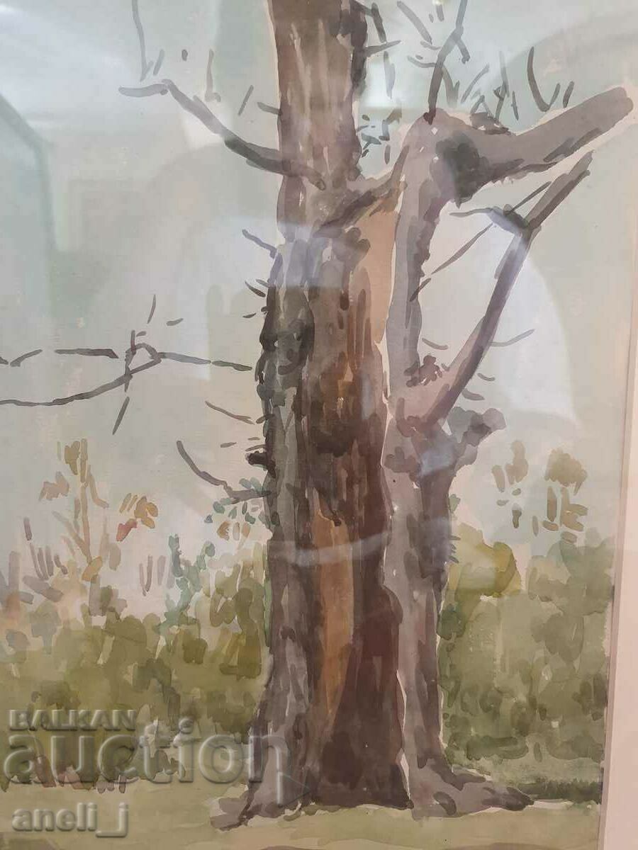 Acuarelă de Stanyo Stamatov - 5 Acuarelă de Stanyo Stamatov - 5