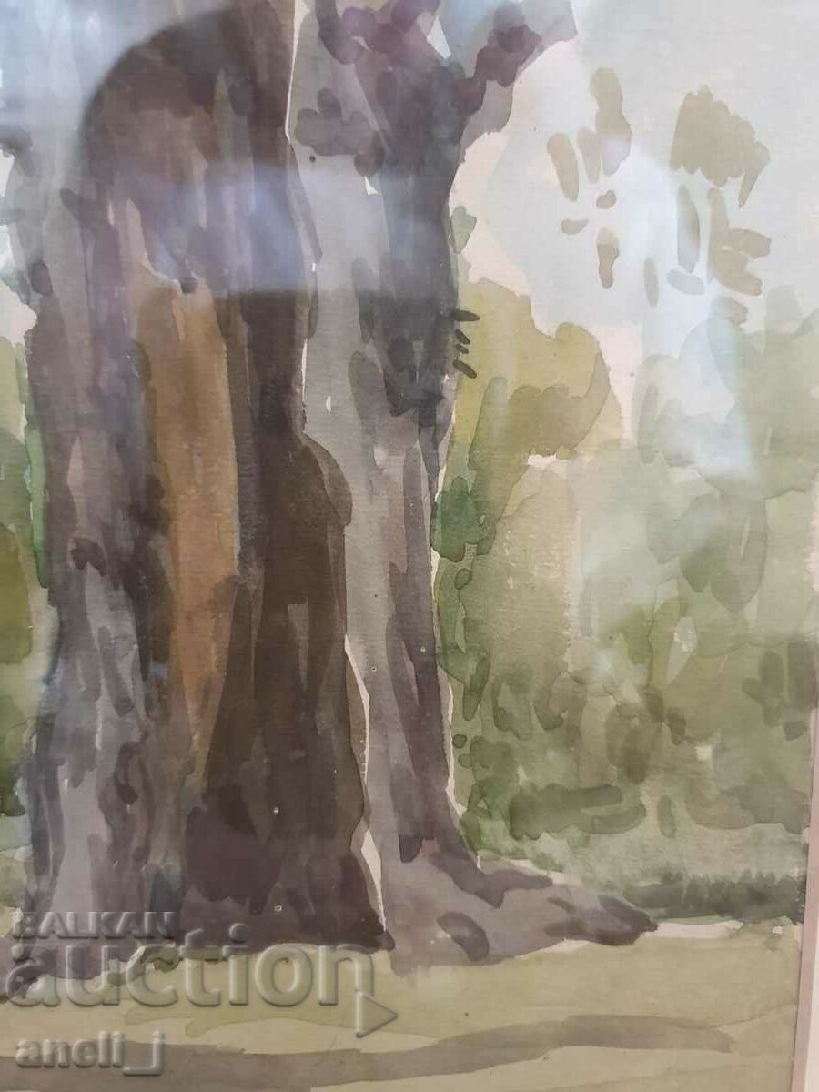Acuarelă de Stanyo Stamatov - 6 Acuarelă de Stanyo Stamatov - 6