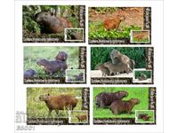 Capybara Fauna 2020 Clean Blocks by Tongo
