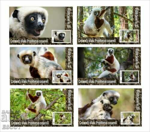 Lemur Fauna - Sifaka 2020 Clean Blocks din Tongo