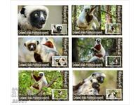 Lemur Fauna - Sifaka 2020 Clean Blocks from Tongo