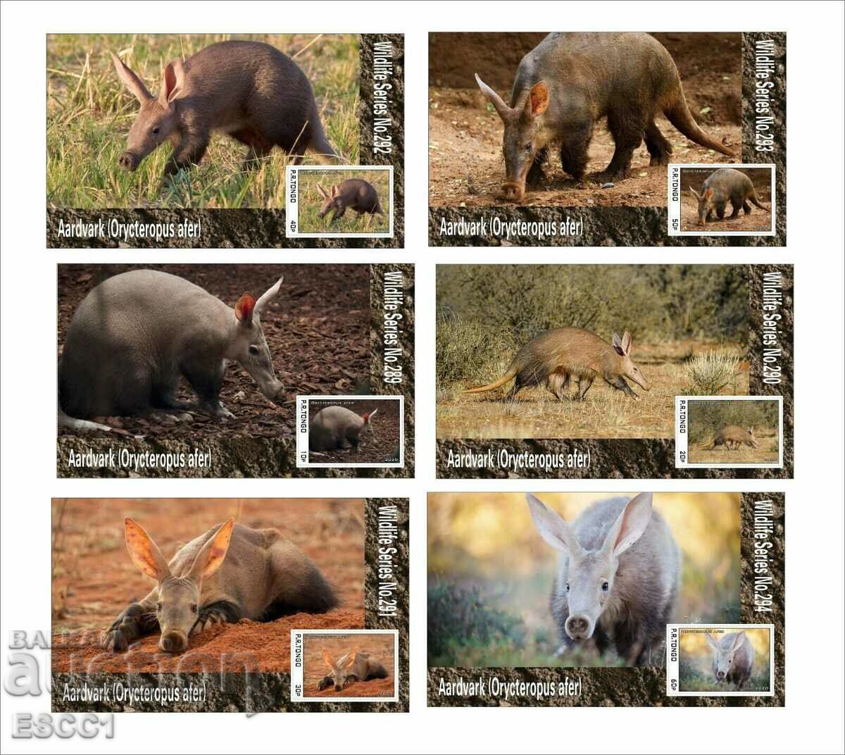 Clean Blocks Fauna Aardvark Proboscis Anteater 2020 by Tongo