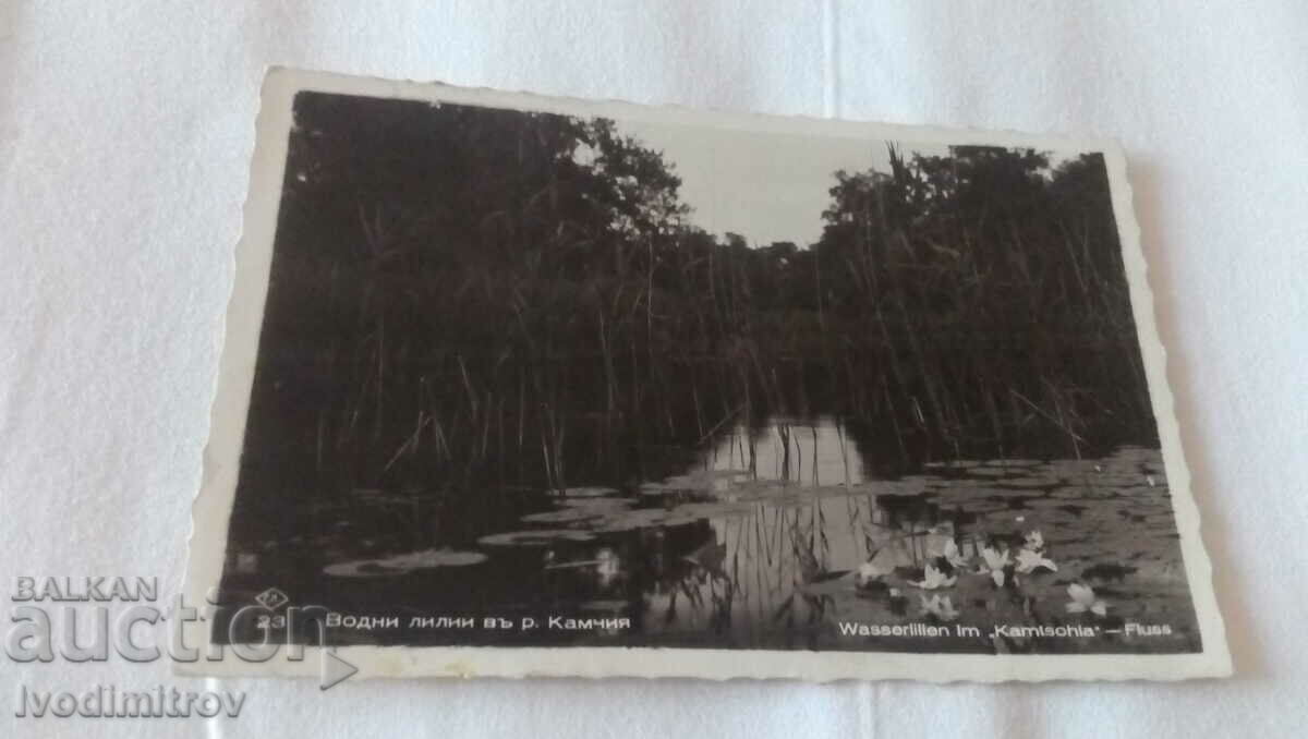 Пощенска картичка Водни лилии въ река Камчия 1939