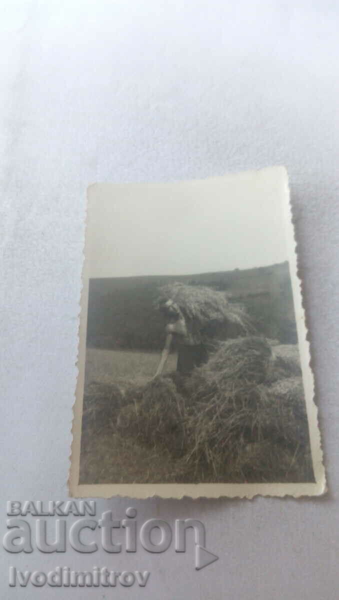 Photo Man in shorts carrying hay