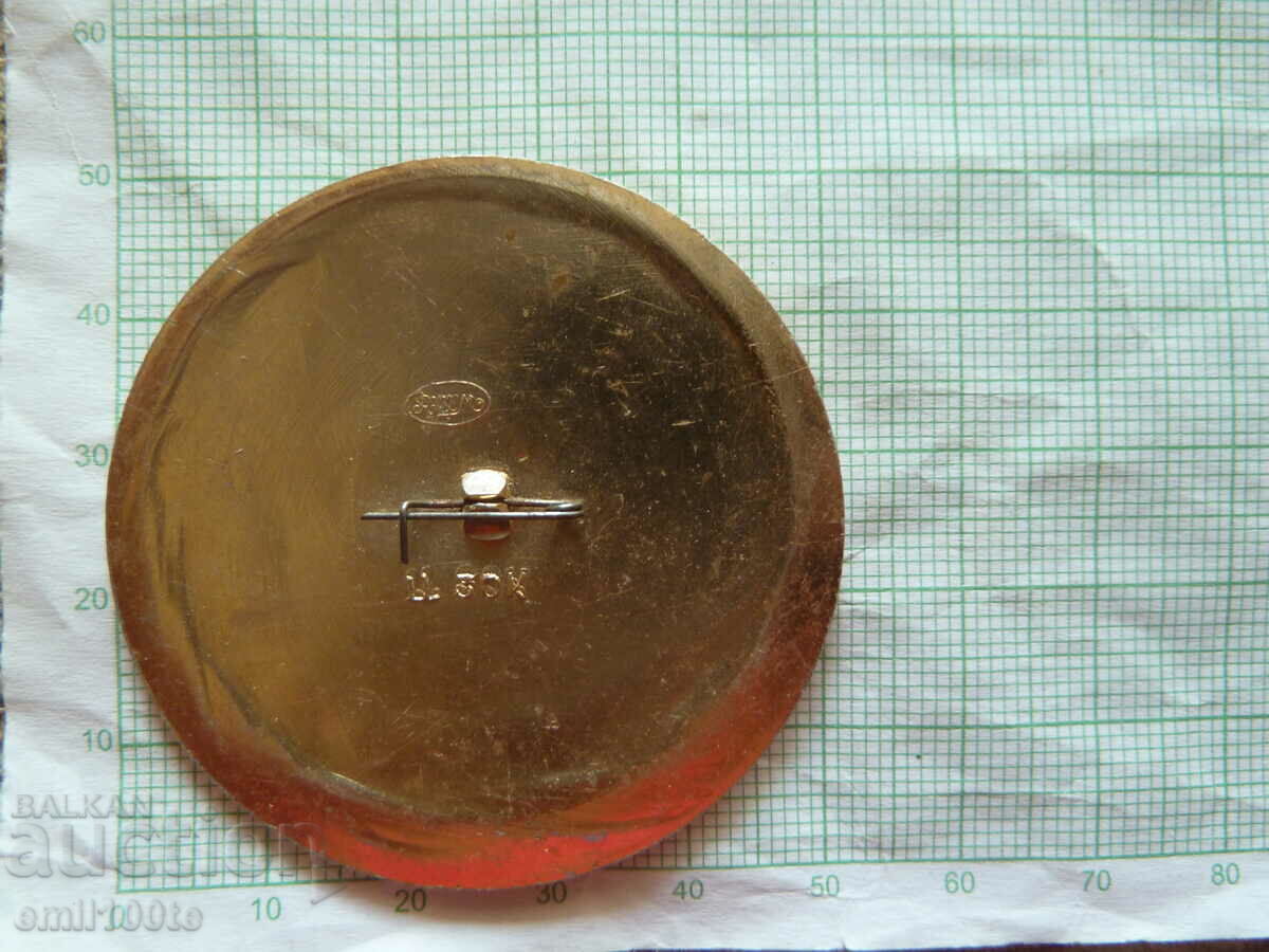 Delivery of Badge - Rostov-on-Don coat of arms USSR Delivery of Badge - Rostov-on-Don coat of arms USSR