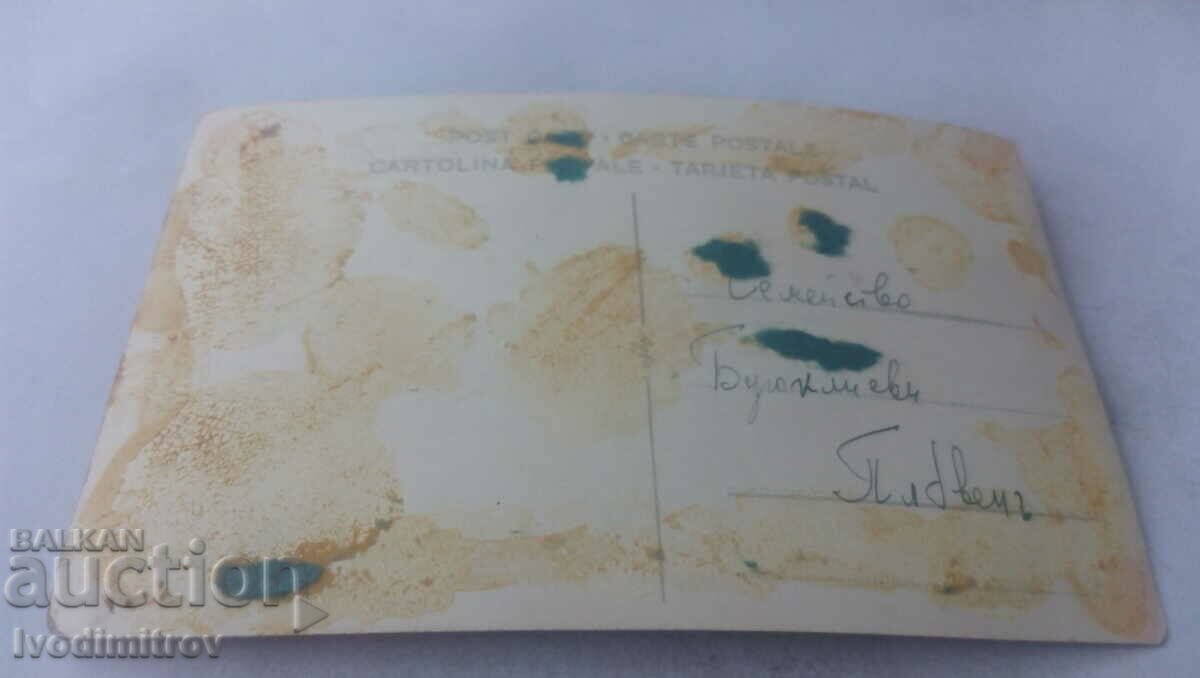 Photo Pleven A young woman and two young boys in the park with price 2.35 BGN | € 1.20 Photo Pleven A young woman and two young boys in the park with price 2.35 BGN | € 1.20