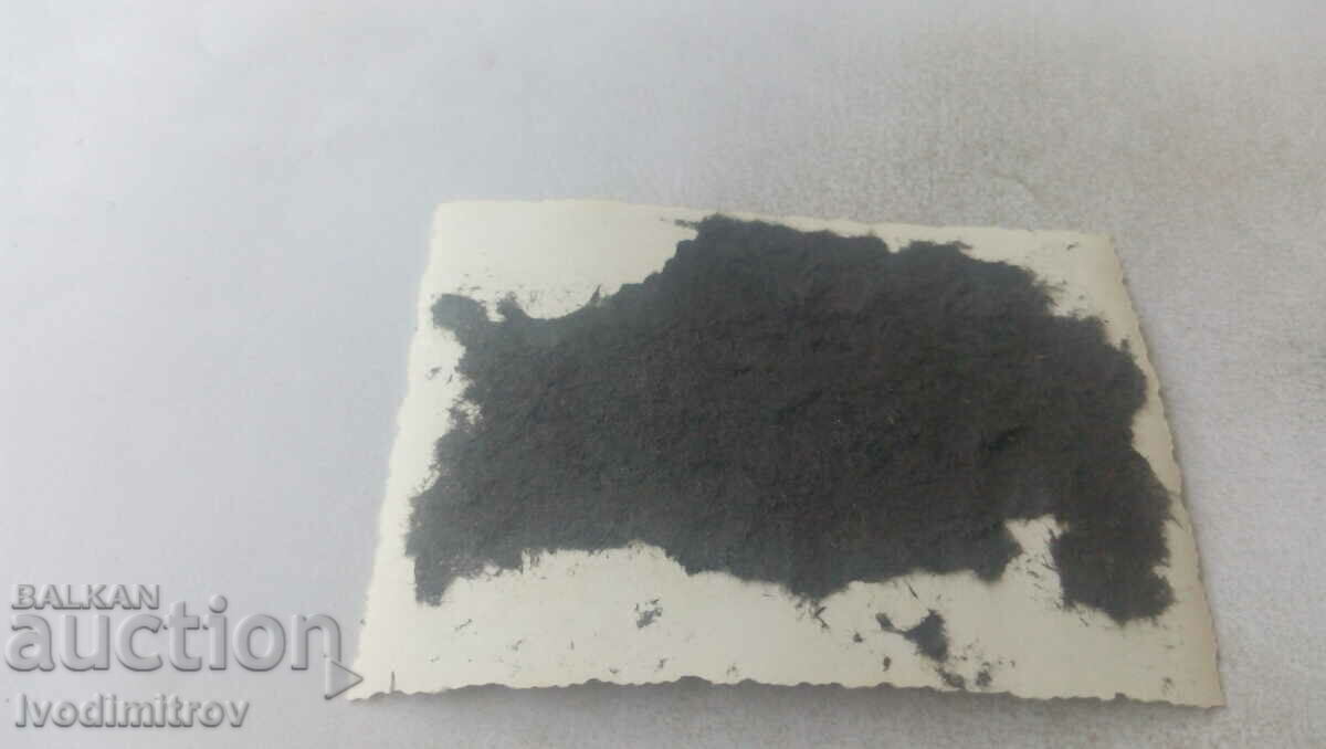 Φωτογραφία Άνδρας με σορτς δίπλα σε μια λίμνη με τιμή 1.45 BGN | € 0.74 Φωτογραφία Άνδρας με σορτς δίπλα σε μια λίμνη με τιμή 1.45 BGN | € 0.74