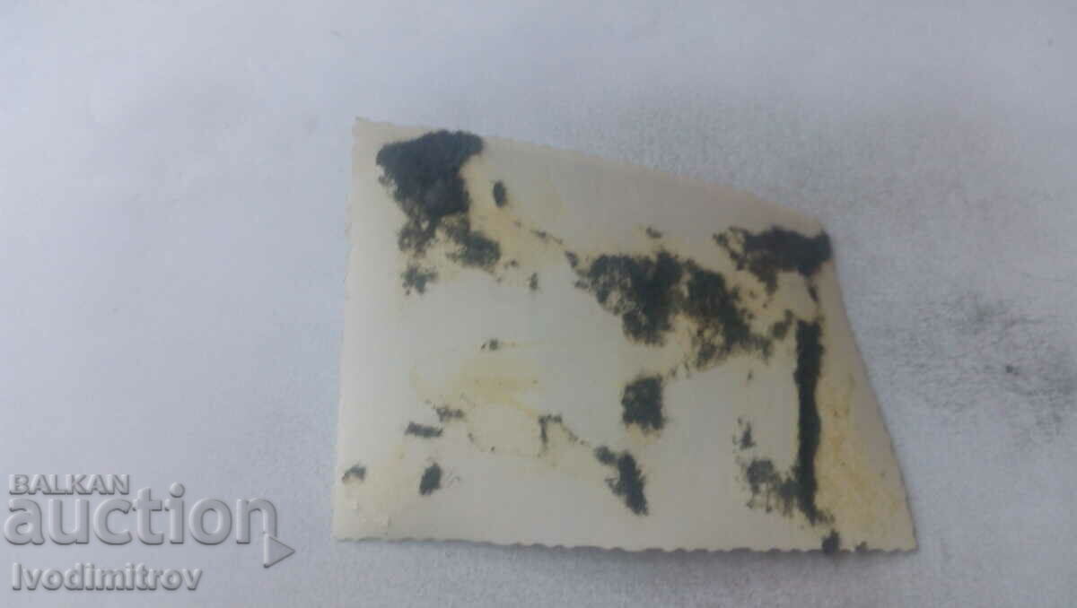 Photo A man in a swimsuit on a stone in the river with price 2.35 BGN | € 1.20 Photo A man in a swimsuit on a stone in the river with price 2.35 BGN | € 1.20