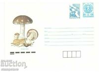 Envelope Mushrooms - Mace