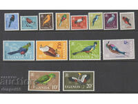 1965. Uganda. Birds.