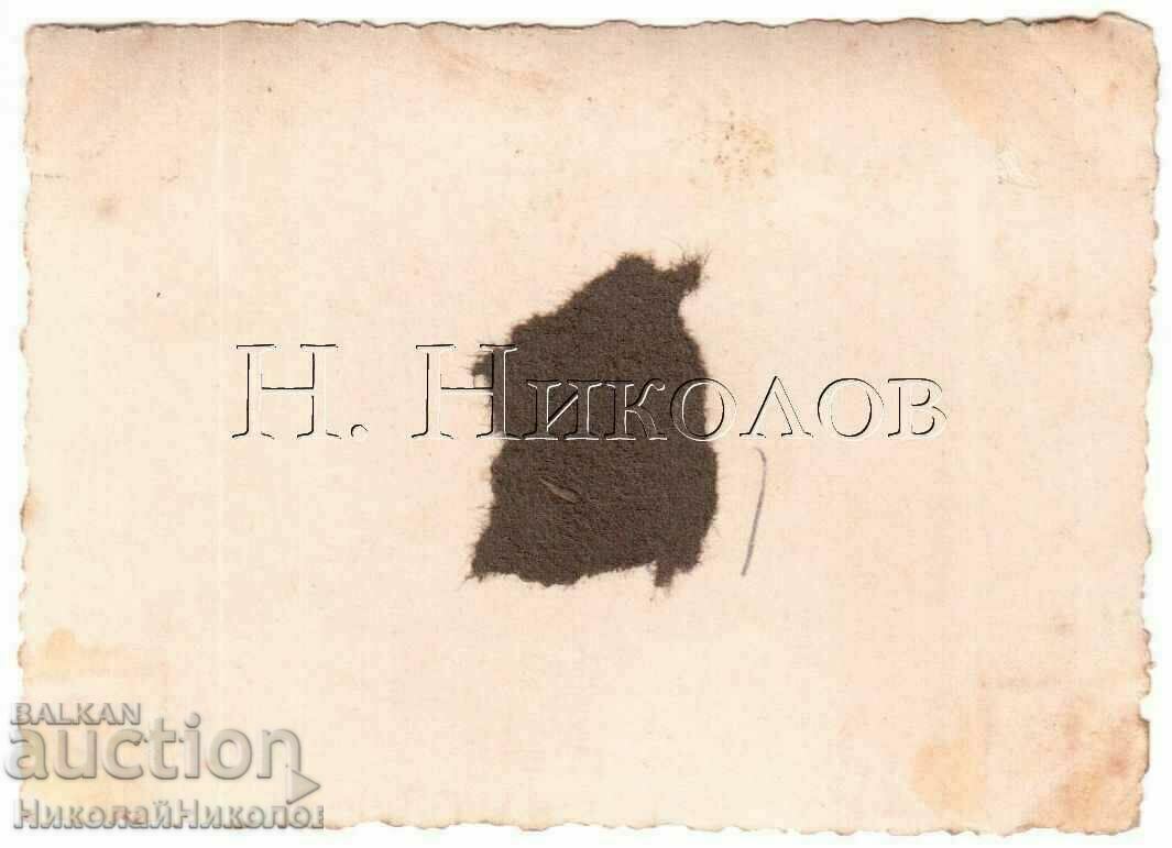 SMALL OLD PHOTO VARNA SCHOOL STUDENTS C933 with price 5.00 BGN | € 2.56 SMALL OLD PHOTO VARNA SCHOOL STUDENTS C933 with price 5.00 BGN | € 2.56