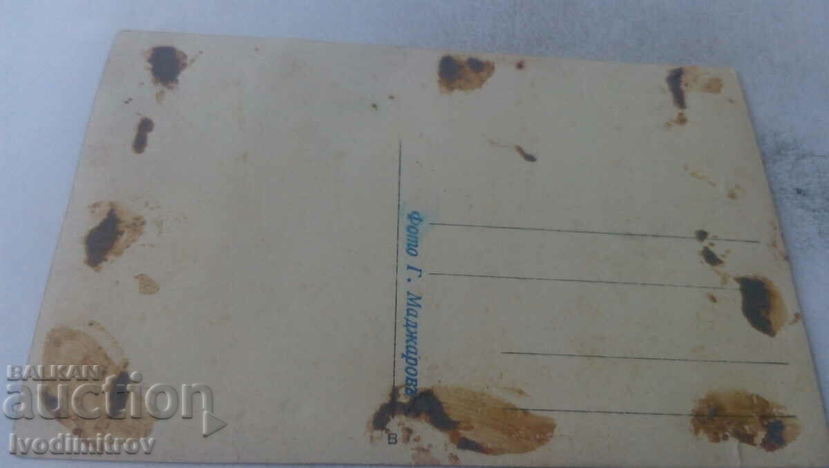 Снимка Мъж жени и деца в гората с цена 1.85 лв. | € 0.95