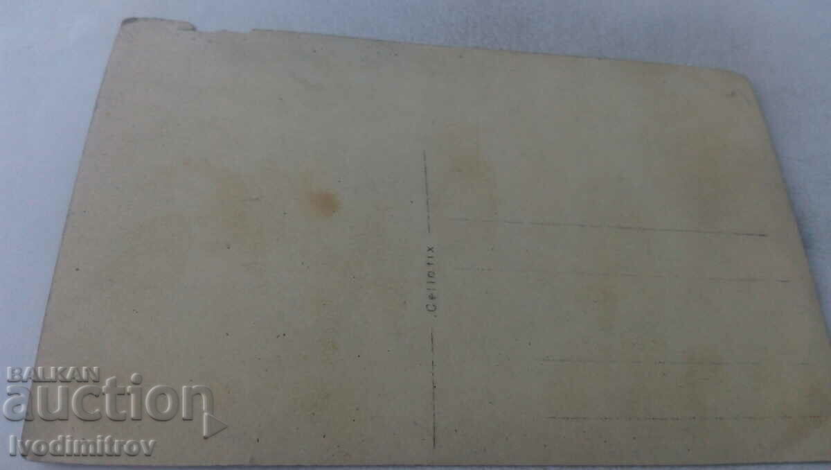 Photo A boy and three girls on the meadow with price 1.65 BGN | € 0.84 Photo A boy and three girls on the meadow with price 1.65 BGN | € 0.84