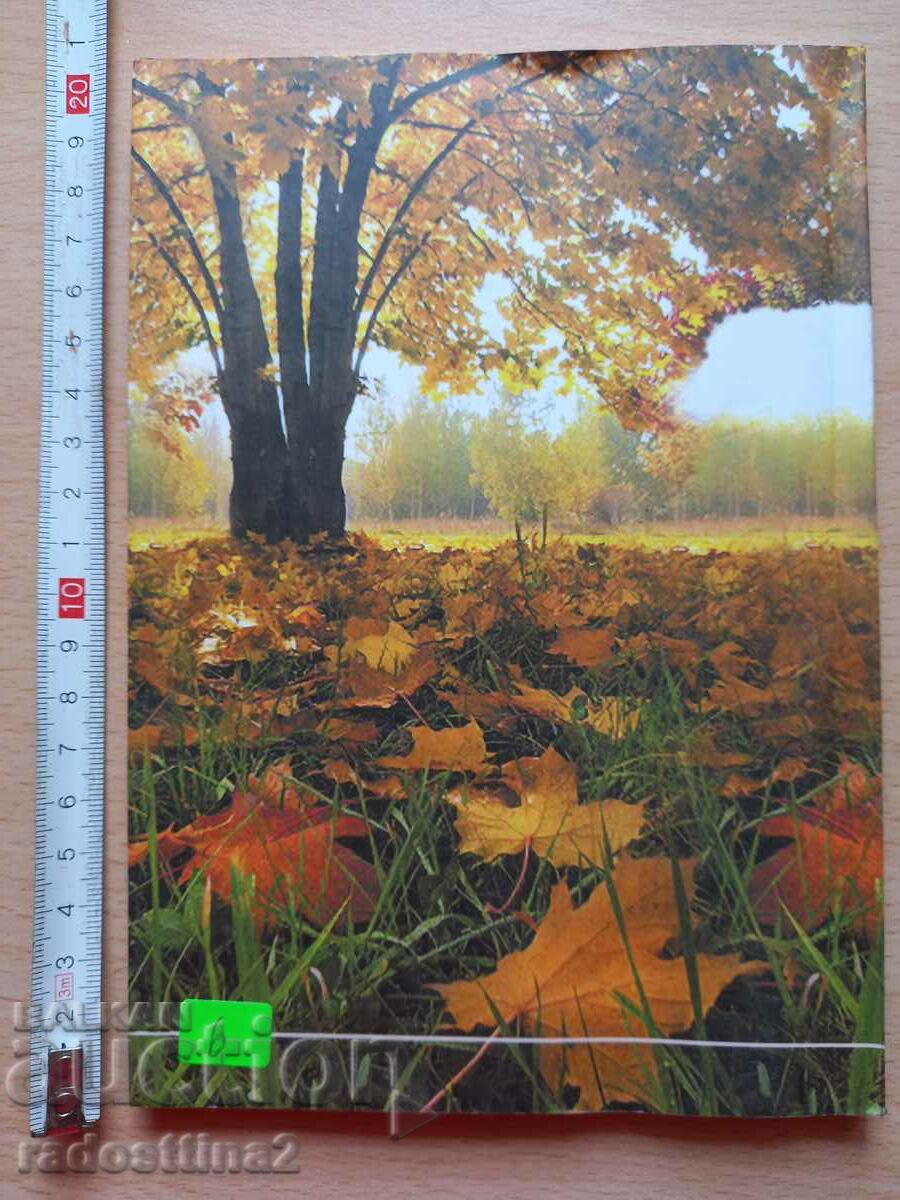 Sit down sadness, you came to visit me Gergana Sotirova with price 5.99 BGN | € 3.06 Sit down sadness, you came to visit me Gergana Sotirova with price 5.99 BGN | € 3.06