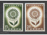 1964. The Netherlands. Europe.