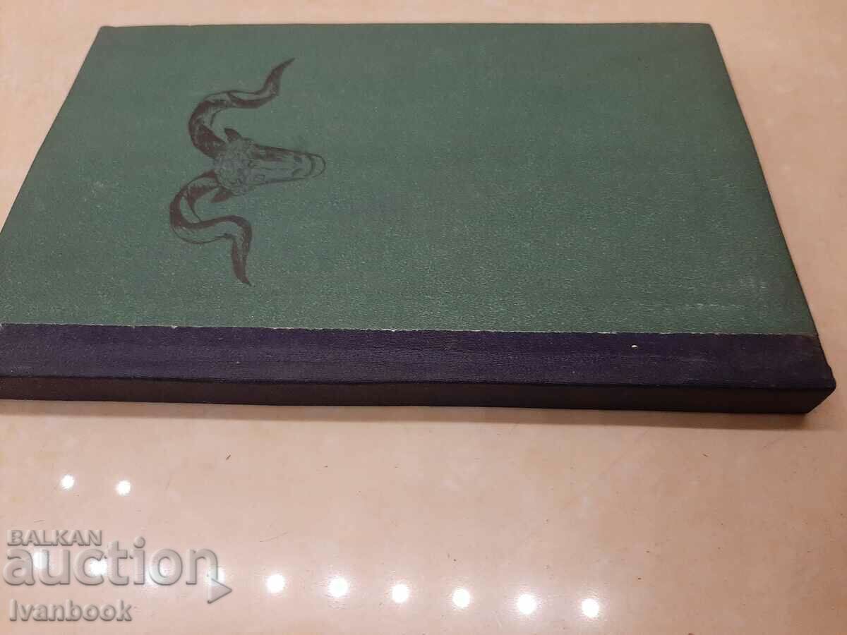 Library - Juvenile Reading - Katadian Hunters with price 2.00 BGN | € 1.02 Library - Juvenile Reading - Katadian Hunters with price 2.00 BGN | € 1.02