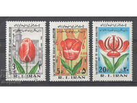 1981. Iran. The second anniversary of the Islamic revolution.