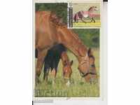 Postcard maxi FDC horse map
