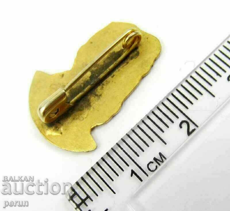 Licitație Veche insignă cubaneză - Fidel Castro - Original - Steagul Cadou